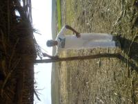 hadi zwina walakin fi dwar
